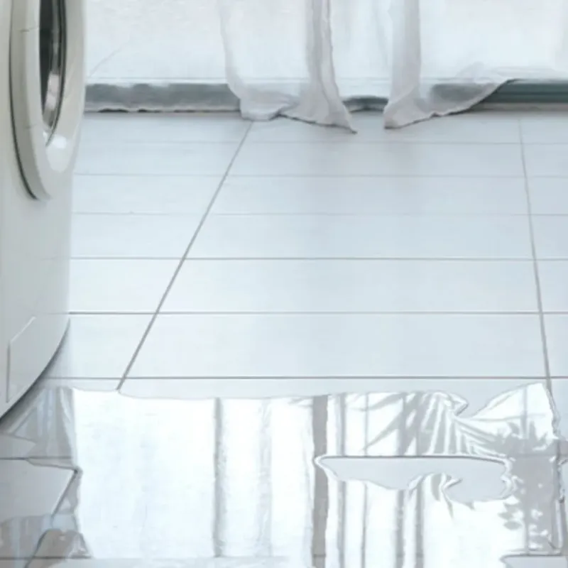 Appliance Leak Cleanup in Benzie County, MI
