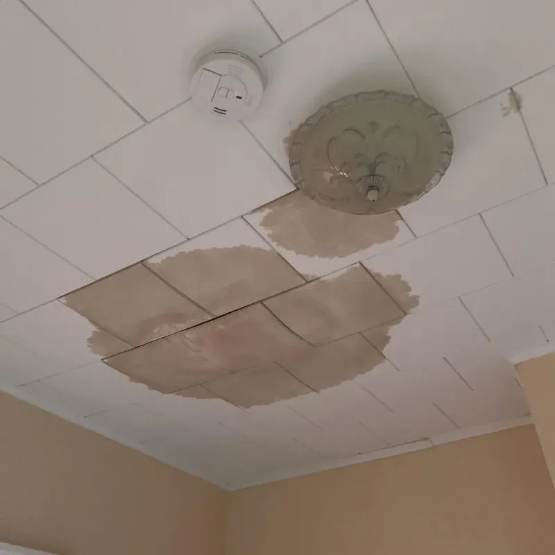 Ceiling Water Damage Repair in Benzie County, MI