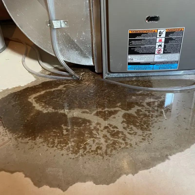 Pipe Burst and Leak Restoration in Benzie County, MI