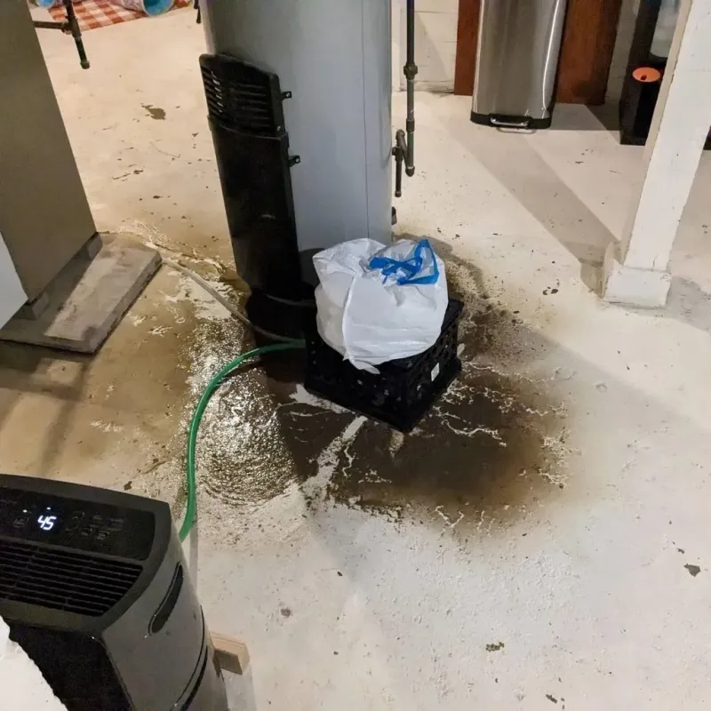 Sewage Backup Cleanup Service in Benzie County, MI